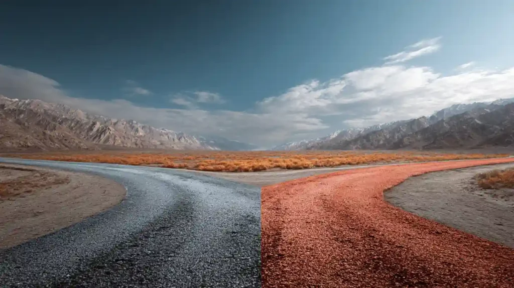 Medicare Supplement vs. Medicare Advantage: The Critical Decision